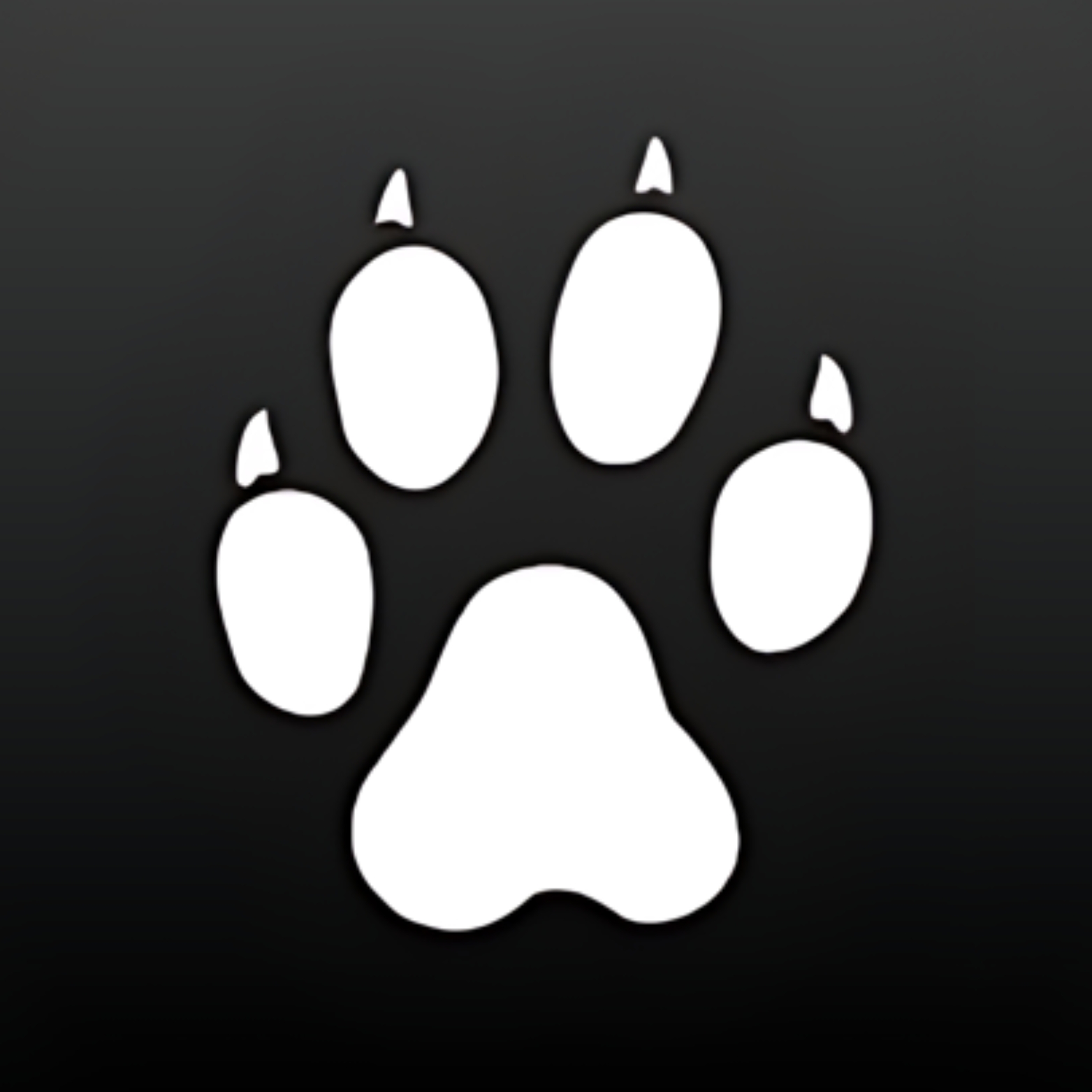 card-img