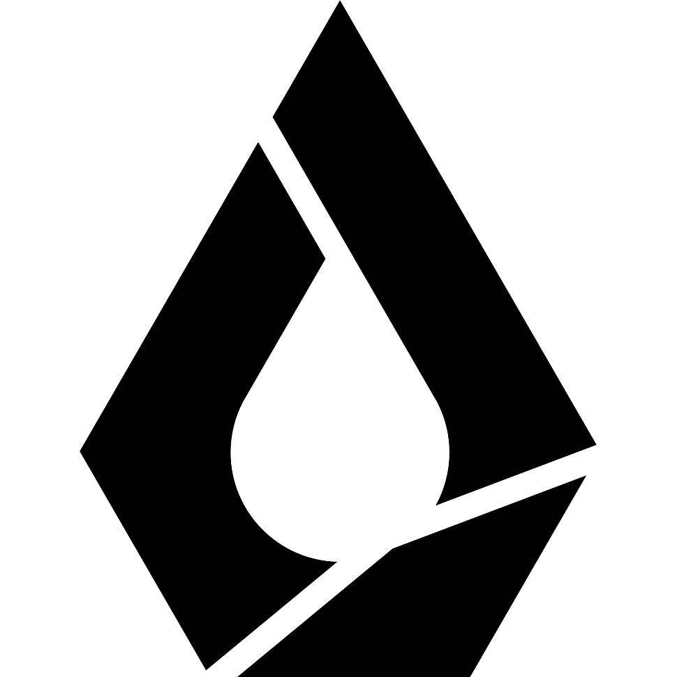LFM3 logo